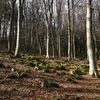 Podhorní vrch