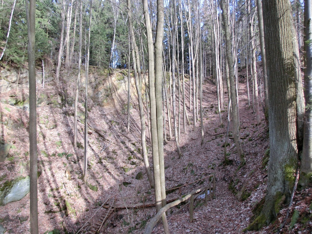 PP Smrčina (1)