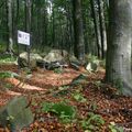 Geologická naučná stezka v PR Žižkův vrch