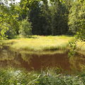 PP Kolowratův rybník
Foto: J. Juráková