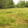 Hojkovské rašeliniště