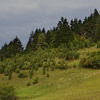 NPP Švařec