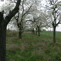 NPP Stránská skála