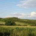 PR Liščí vrch - celkový pohled