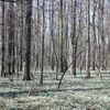 NPR Polanská niva