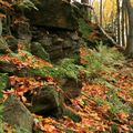 Ve skalách zde hnízdí výr velký. (Foto Z. Růžičková)

