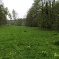 Jaro -  Neratovské louky severní část. 
Foto: Štěpánka Haldová
