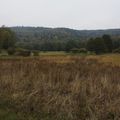 Podzim - Neratovské louky. 
Foto: Josef Kučera
