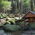 Balvaniště u studánky pod Borem. (Foto P. Kuna)