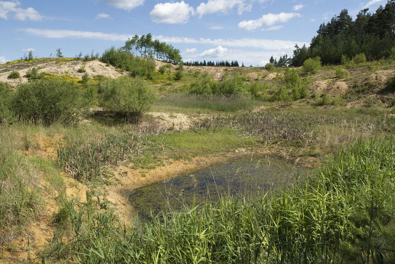 1A-piskovna-Dracice-Sevcik